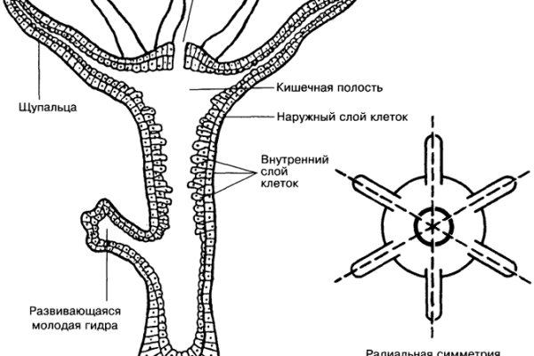 Кракен регистрация