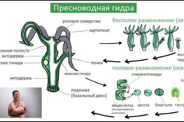 Кракен сайт kraken dark link