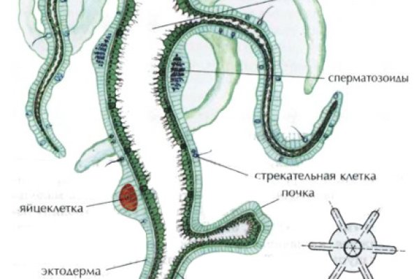 Кракен маркетплейс в россии