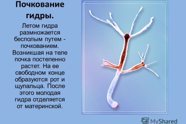 Кракен даркнет ссылка на сайт