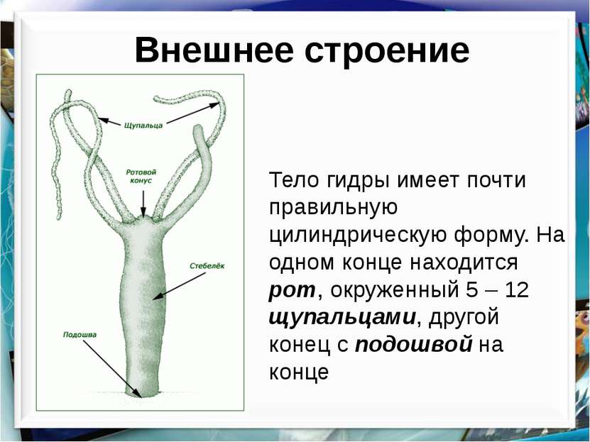 Кракен сайт пишет пользователь не найден